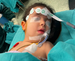 https://www.ait-journal.com/f/fulltexts/190905/AIT-56-54713-g001_min.jpg