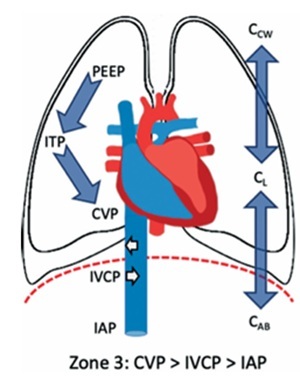 Figure from article: Cardiovascular effects of...