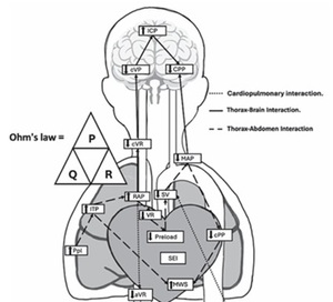 Figure from article: Exploring Pandora’s box:...