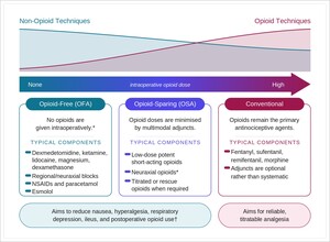 Figure from article: Opioid-sparing and...